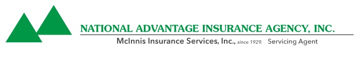 national advantage insurance agency logo